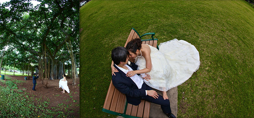 Bride and groom kissing on a park bench, seen from above